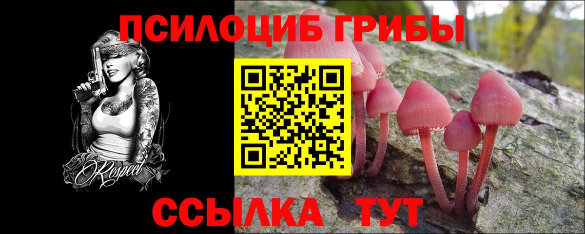 Знаменск  Псилоцибиновые грибы мухоморы  Псилоцибиновые грибы мицелий  Вход с VPN 