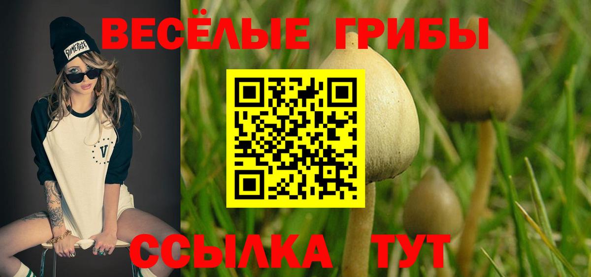 Псилоцибиновые грибы GOLDEN TEACHER Знаменск